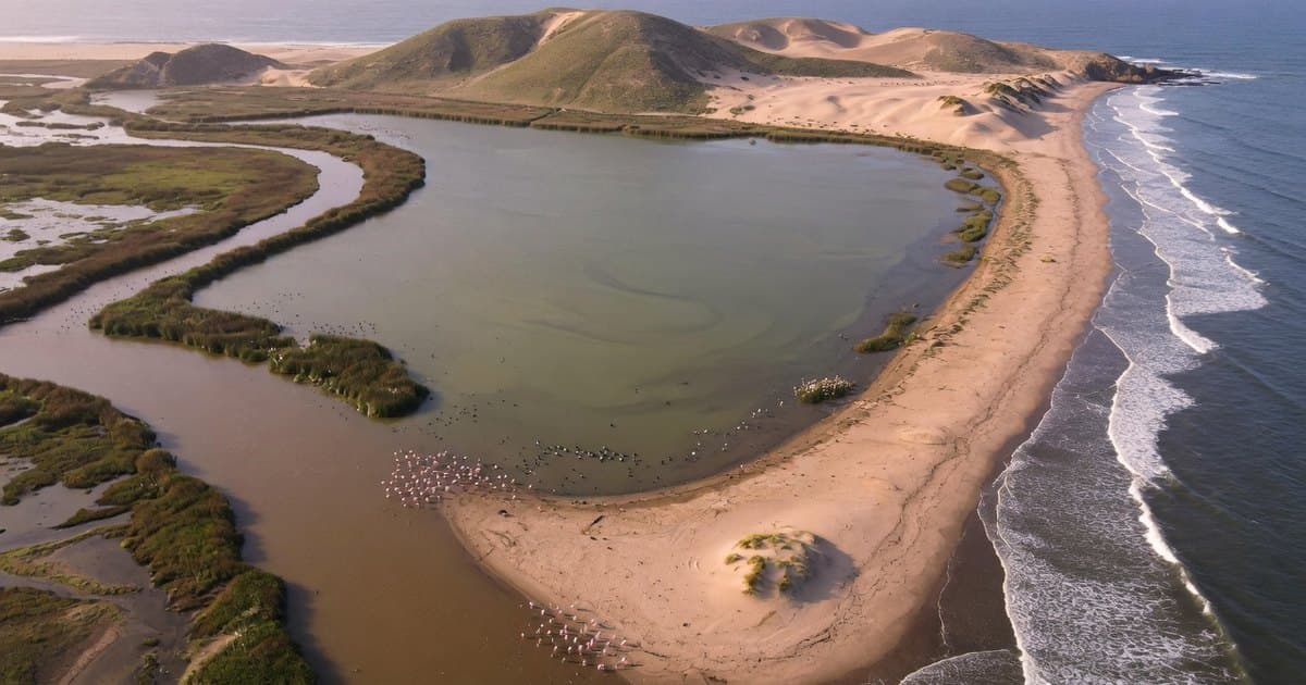 Laguna costera separada del océano Pacífico por una barra de arena, con humedales en sus orillas