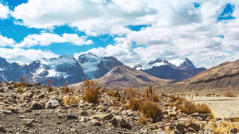 glaciares tropicales