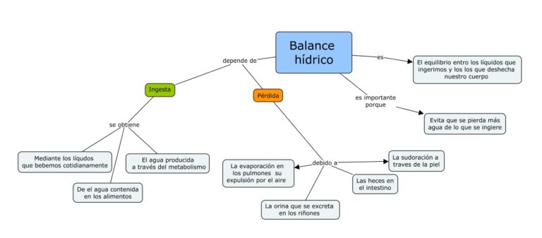 ¿Qué es el balance hídrico?